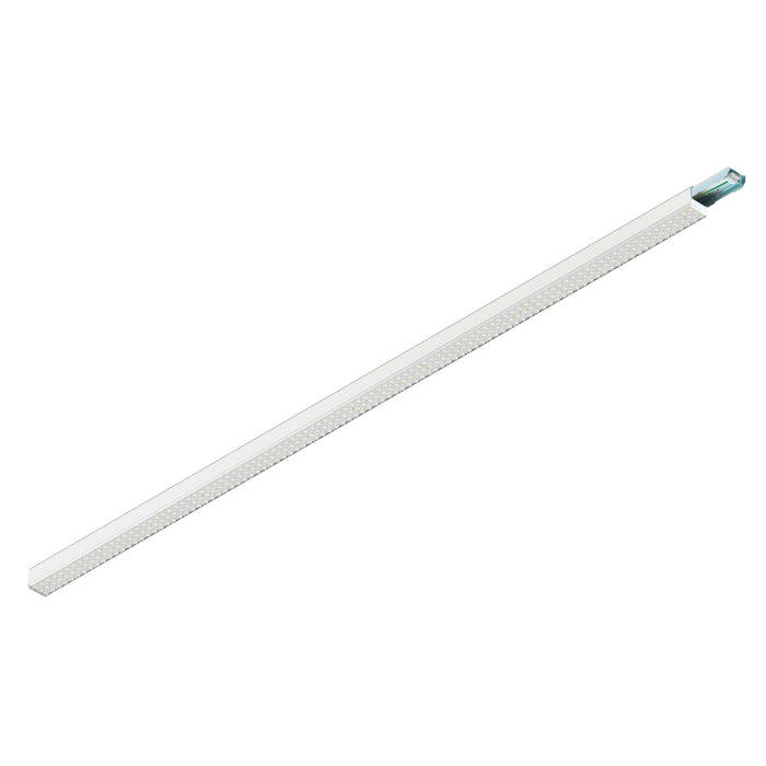 EASYLIGHT, 2500 140 835/840/850 WB WH ML Trunking System 2500mm