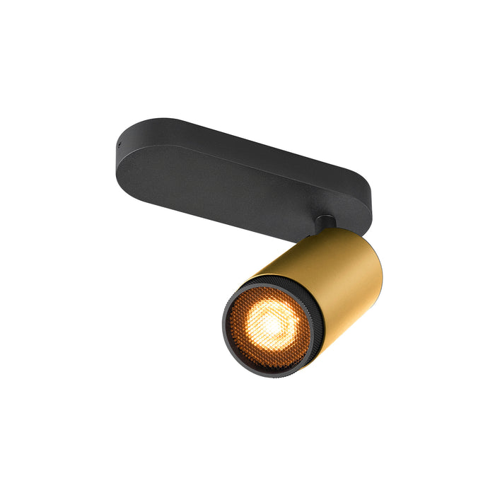 GRIP! L, SPOT CL, single, QPAR51, Ceiling-mounted light, cylindrical, 1 x max. 6 W, gold / black