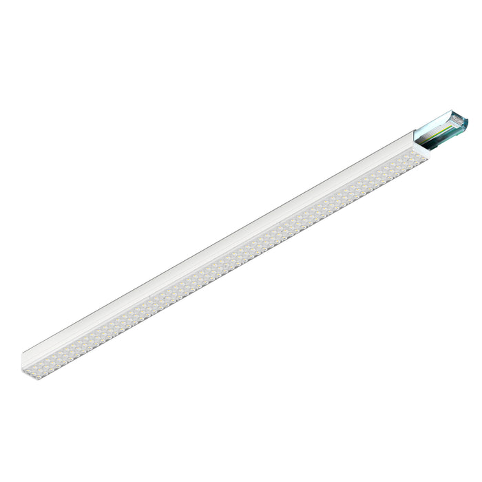 EASYLIGHT, 1500 86 835/840/850 OVAL WH ML DALI2 Trunking System 1500mm