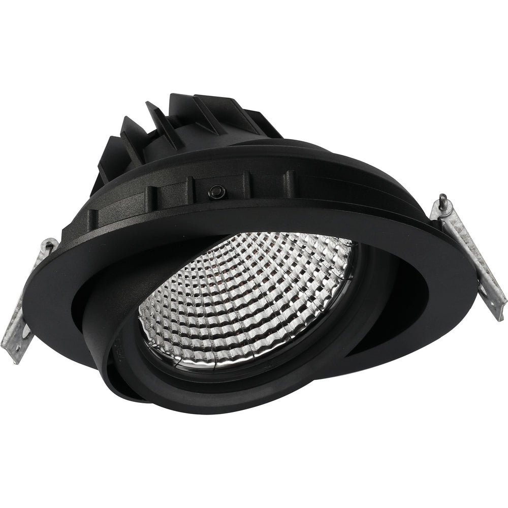 Girevole 24°, Black, 4000k Fresh Fish, 1100lm, CRI>90, Recessed Fixtur