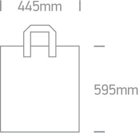 ONE LIGHT PLASTIC BAG LARGE.