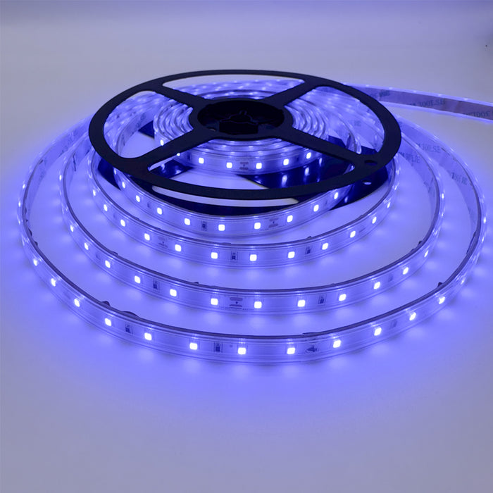 Single Colour LED Strip 5 W/m IP65 24V Blue 60 LEDs/m 5 Metre