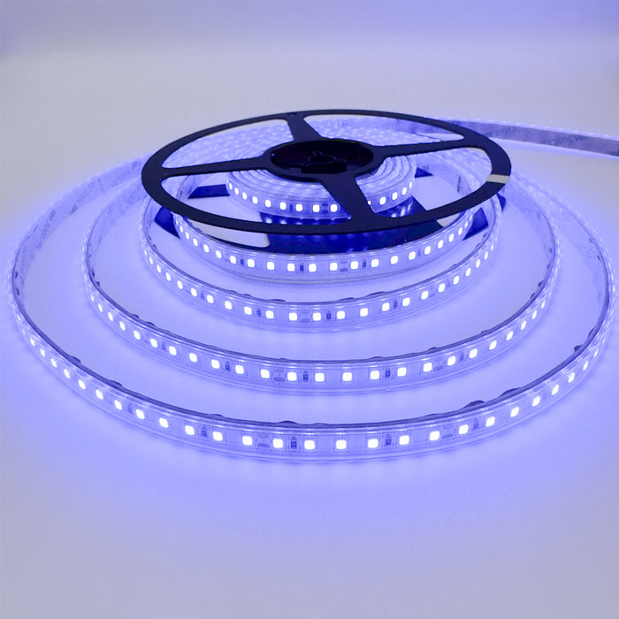 Single Colour LED Strip 10 W/m IP65 24V Blue 120 LEDs/m 10M Metre