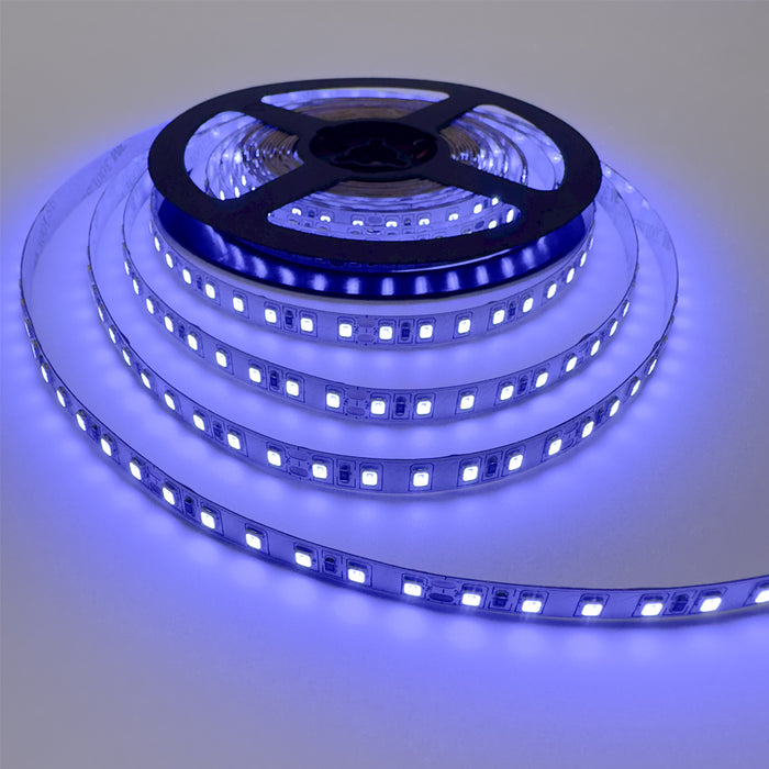 Single Colour LED Strip 10 W/m IP20 24V Blue 120 LEDs/m 10 Metre