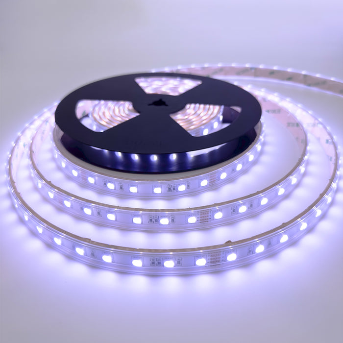 RGBW LED Strip, 20 W/m IP65 24V RGB + W (4000K) 60 LEDs/m 5 Metre