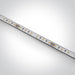 LED STRIP 24vDC DL 5m ROLL 14,4w/m IP68.