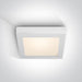 WHITE PLAFO LED 22w WW IP40 100-240v.