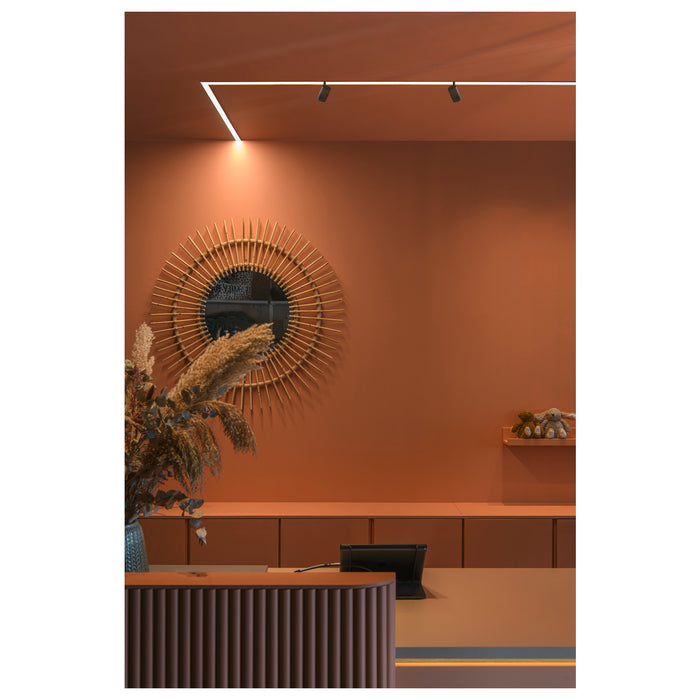 IN-LINE 44 48V TRACK, opal, DALI, spot, black 14W, 1140lm, 2700K, CRI90, 95°