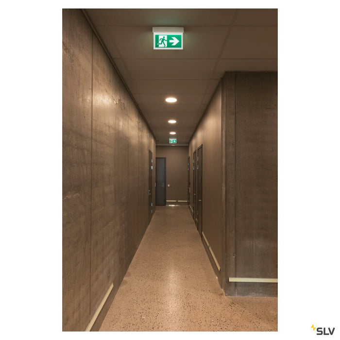 P-LIGHT 33, wall and ceiling light, emergency exit light, LED, 6000K, white, L/W/H 33/6/25 cm, 4W